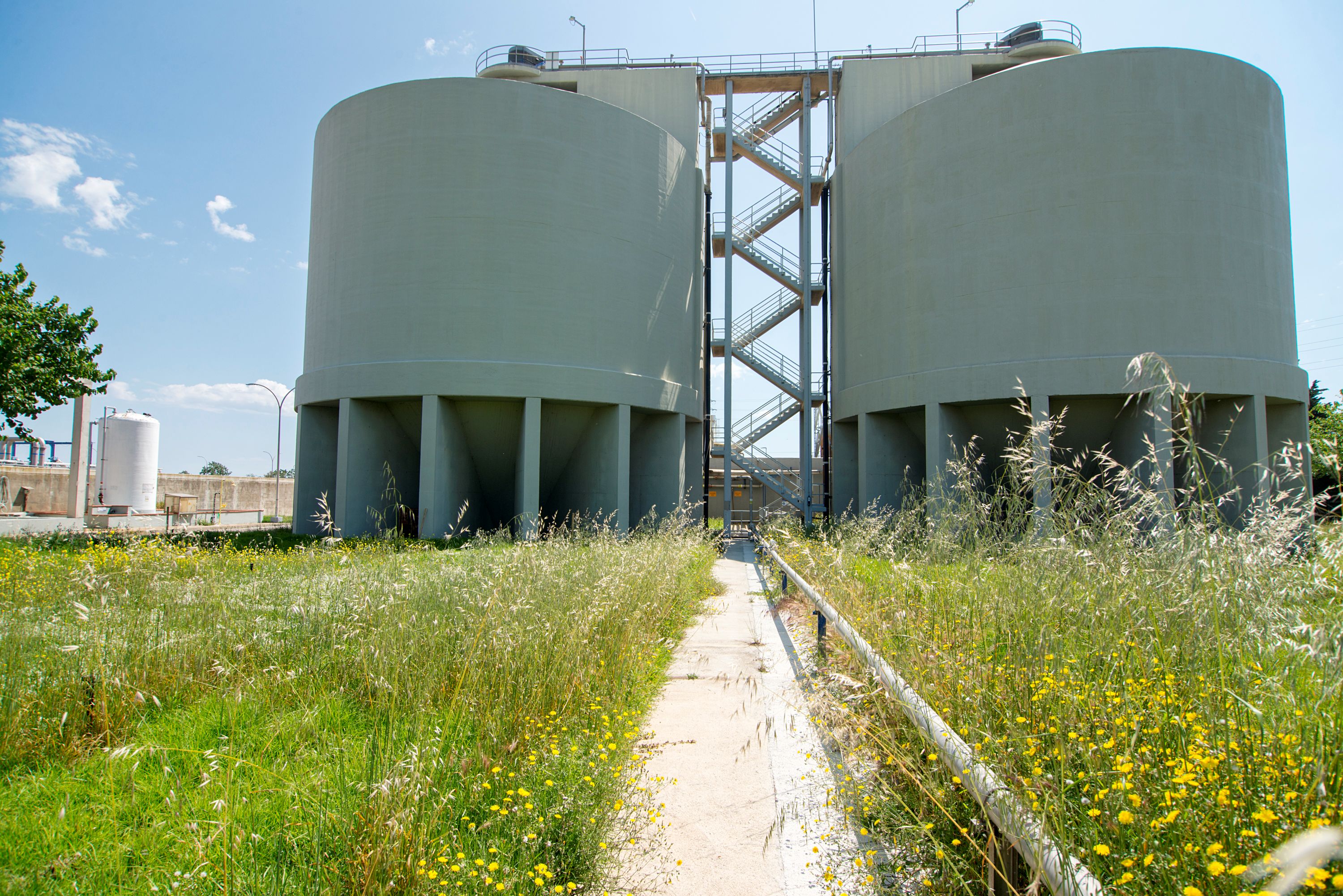imatge biodiversitat depuradores